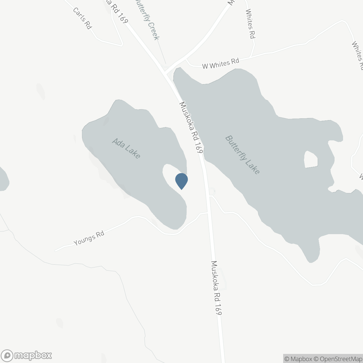 #8 - 1006 YOUNGS ROAD, Port Carling, Ontario P0B 1J0